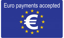Euro payments accepted - 10x6cm - Sticker/autocollant