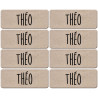 Prénom Théo - 8 stickers de 5x2cm - Sticker/autocollant