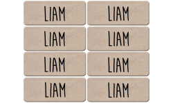 Prénom Liam - 8 stickers de 5x2cm - Sticker/autocollant