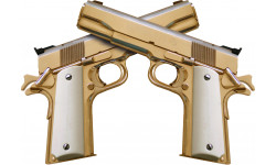 guns - 29,5x21cm - Sticker/autocollant