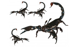 scorpions - 1 sticker de 21.5cm / 3 stickers de 8,5cm - Sticker/autoco