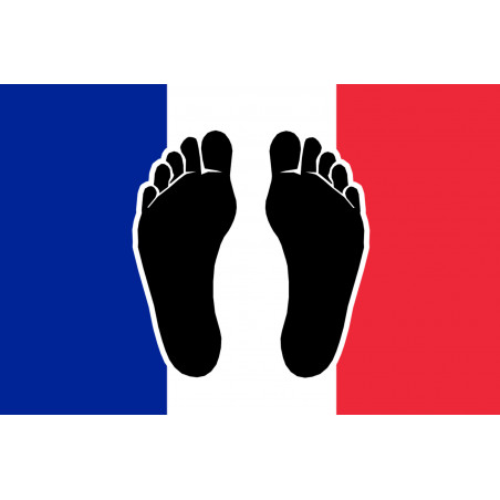 sticker / autocollant : Pieds noirs drapeau Français - 5x3.3cm - Sticker/