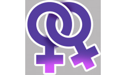 symbole d'attachement gay lesbien - 5x5cm - Sticker/autocollant