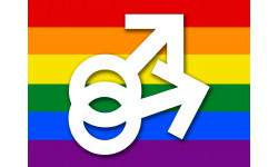DRAPEAU LGBT gay  - 10x7.5cm - Sticker/autocollant