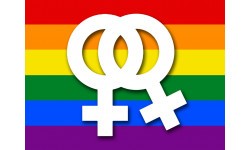 DRAPEAU LGBT lesbien - 15x11.2cm - Sticker/autocollant