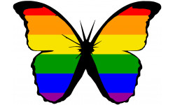 effet papillon LGBT - 15x10.5cm - Sticker/autocollant