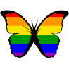 effet papillon LGBT - 15x10.5cm - Sticker/autocollant