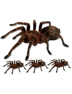 araignées - 1 fois 21.5cm / 3 fois de 8,5cm - Sticker/autocollant