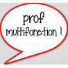prof multifonction - 15x13.5cm - sticker/autocollant