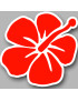 Repère fleur 2 (10x10cm) - Sticker/autocollant