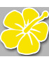Repère fleur 3 (10x10cm) - Sticker/autocollant