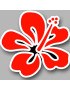 Repère fleur 7 (10x10cm) - Sticker/autocollant