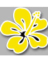Repère fleur 8 (10x10cm) - Sticker/autocollant