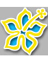 Repère fleur 13 (10x10cm) - Sticker/autocollant