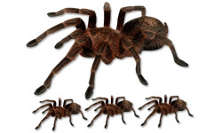 araignées - 1 fois 21.5cm / 3 fois de 8,5cm - Sticker/autocollant